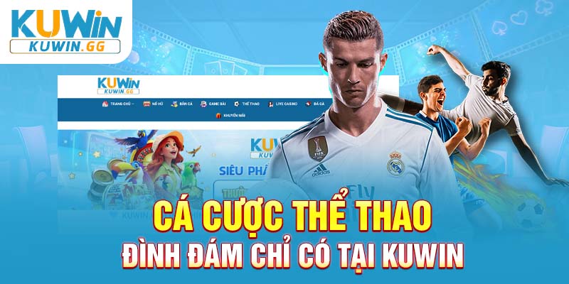 Cá đánh giá thể thao đình đám chỉ có tại Kuwin